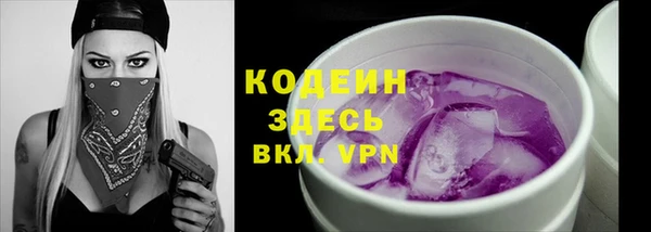 дживик Няндома