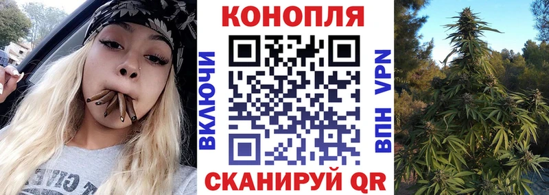 купить наркотик Онега МЕГА сайт Бошки марихуана планчик